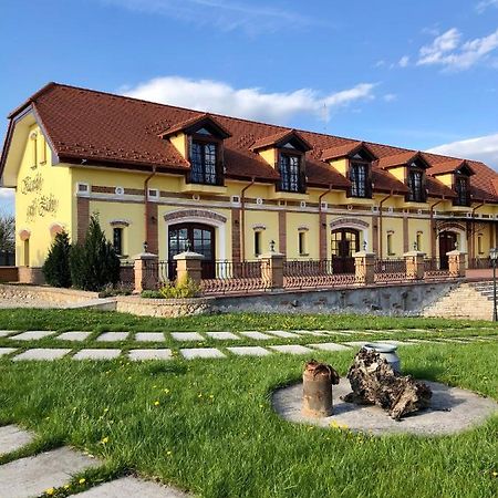 Отель Kastely Grof Zichy Haniska Экстерьер фото