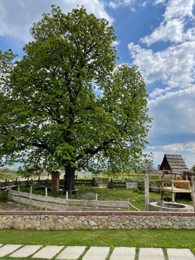 Отель Kastely Grof Zichy Haniska Экстерьер фото